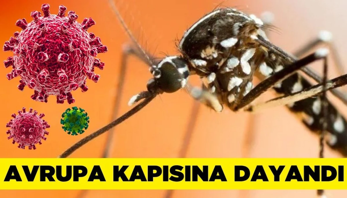 20 Yıl Sonra Yeniden Ortaya Çıkan Virüs: Tedavisi Yok!