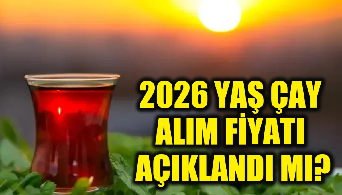 2026 YAŞ &Ccedil;AY ALIM FİYATI A&Ccedil;IKLANDI MI? | &Ccedil;AYKUR yaş &ccedil;ay kilogram fiyatı ne kadar oldu, ne zaman a&ccedil;ıklanacak? İşte son durum!