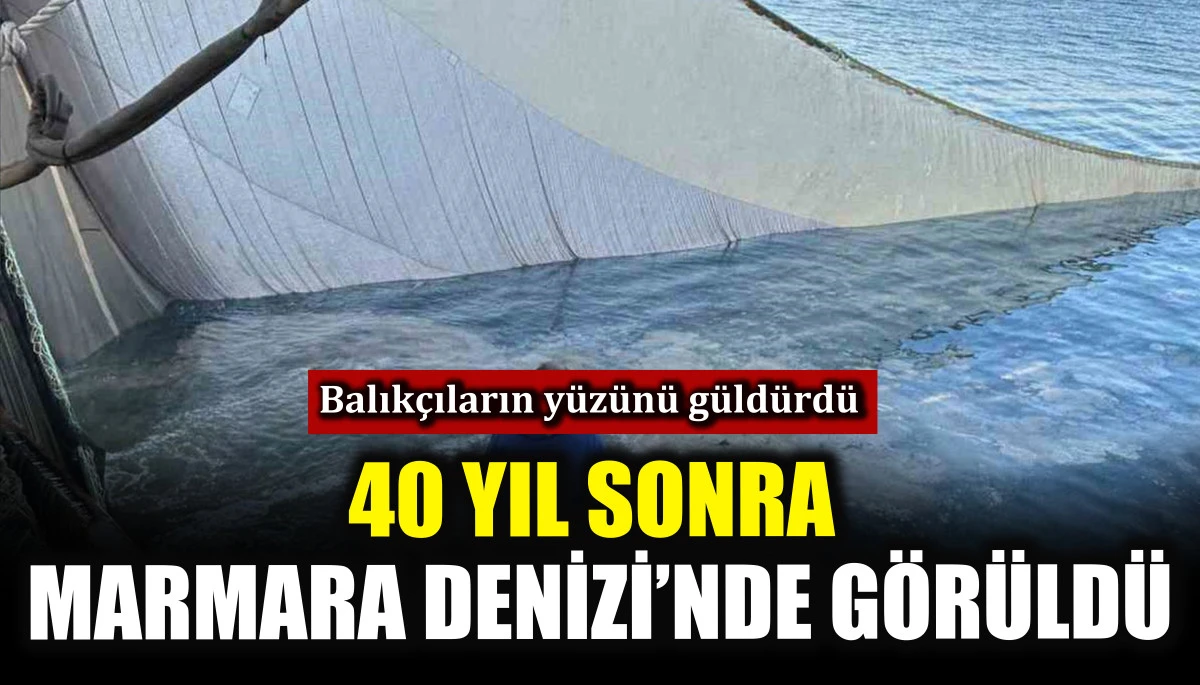 40 yıl sonra Marmara Denizi&rsquo;nde g&ouml;r&uuml;ld&uuml;! Balık&ccedil;ıların y&uuml;z&uuml;n&uuml; g&uuml;ld&uuml;rd&uuml;
