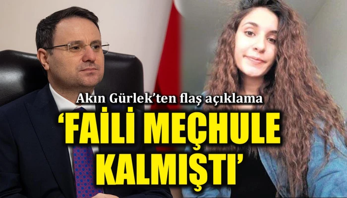 Akın G&uuml;rlek'ten dikkat &ccedil;eken 'G&uuml;listan Doku' a&ccedil;ıklaması