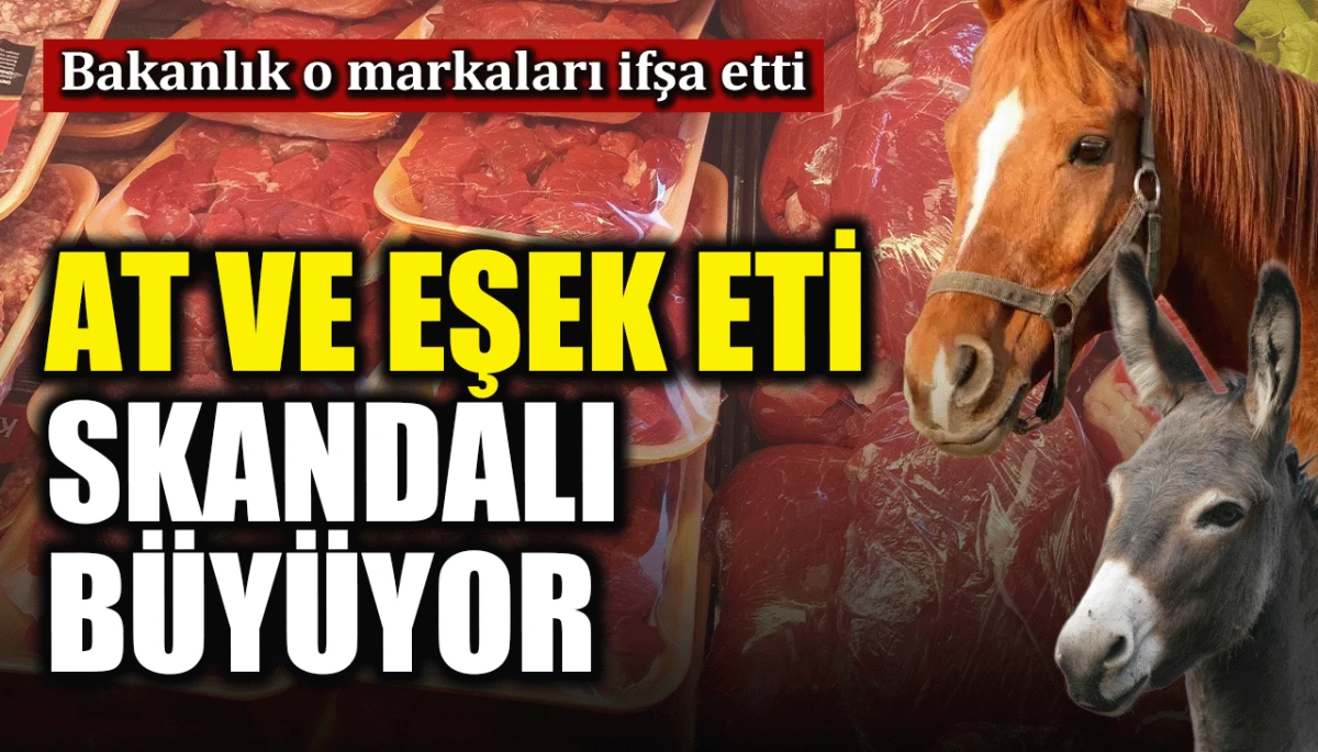 Bakanlık o markaları ifşa etti: At ve eşek eti skandalı b&uuml;y&uuml;yor