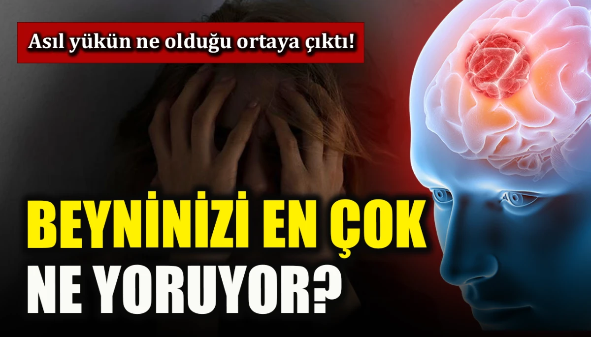 Beyninizi en &ccedil;ok ne yoruyor? Asıl y&uuml;k&uuml;n ne olduğu ortaya &ccedil;ıktı!