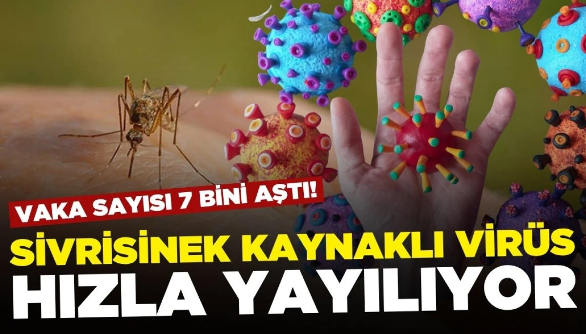 Çin'de Sivrisinek Kaynaklı Virüs: Vaka Sayısı 7 Bini Geçti!