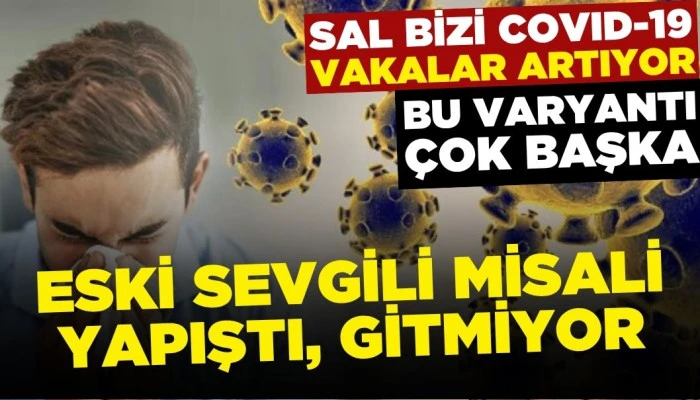 Covid-19 Vakalarında Artış: Hindistan'da 101 Vaka Tespit Edildi