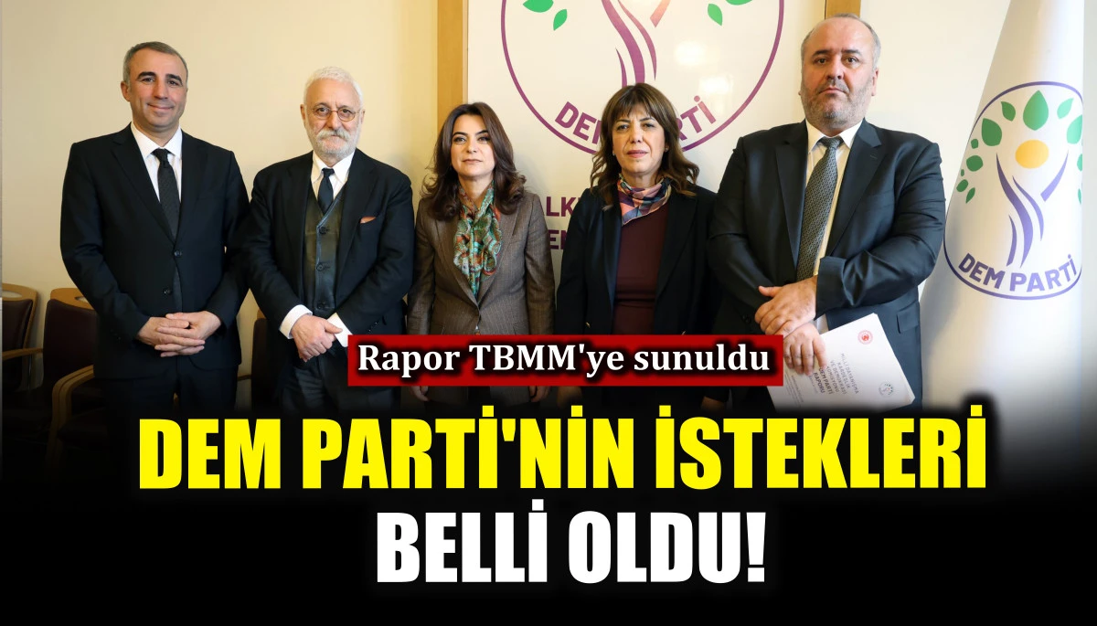 DEM Parti'nin istekleri belli oldu! Rapor TBMM'ye sunuldu