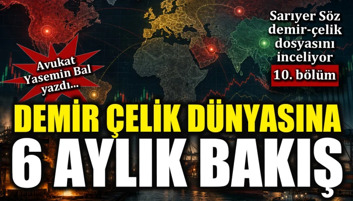 Demir &Ccedil;elik D&uuml;nyasına 6 Aylık Bakış: (Fiyatlar, &Uuml;retim Merkezleri, Risk Haritası) Stratejik Rapor