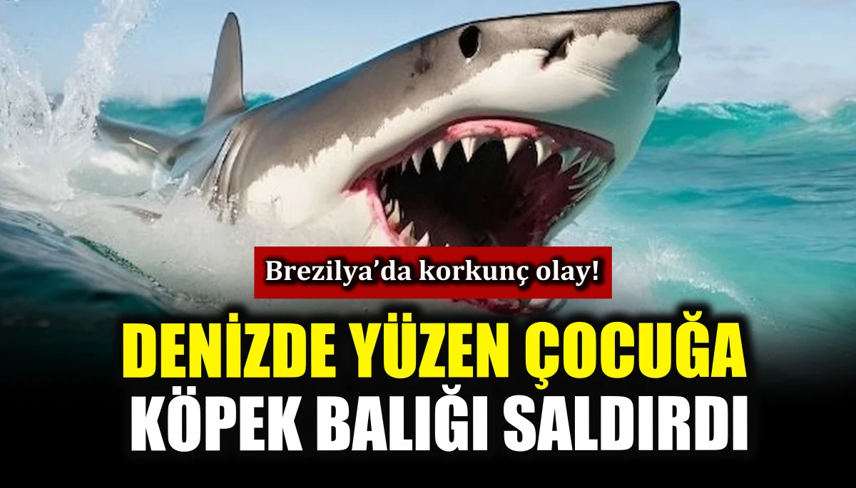 Denizde y&uuml;zen &ccedil;ocuğa k&ouml;pek balığı saldırdı