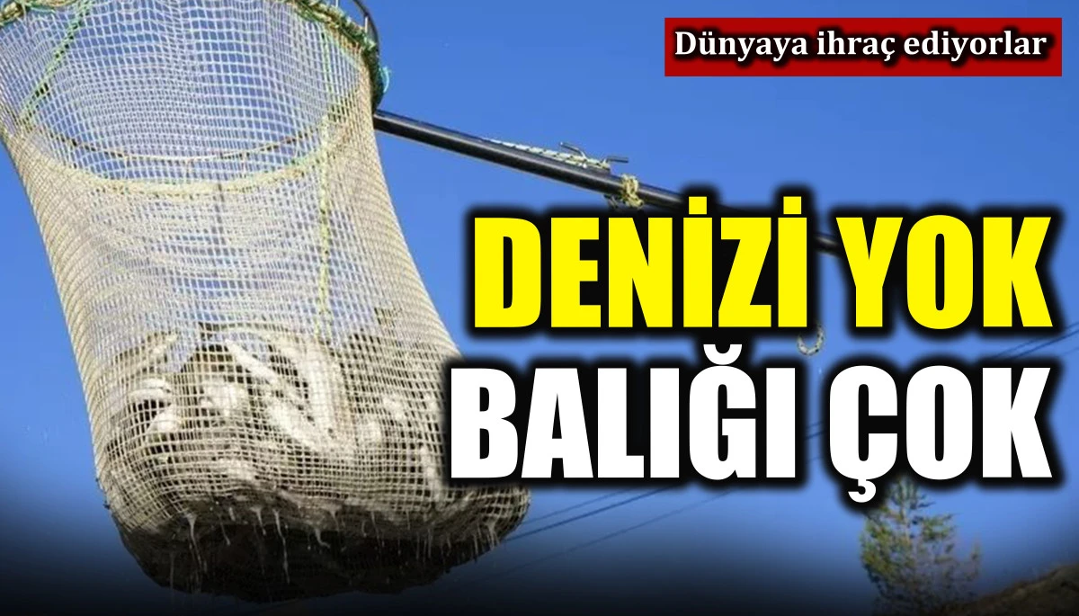 Denizi yok, balığı &ccedil;ok