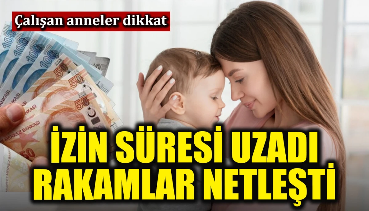 Doğum izninde 24 hafta d&ouml;nemi: Kim ne kadar &ouml;deme alacak?
