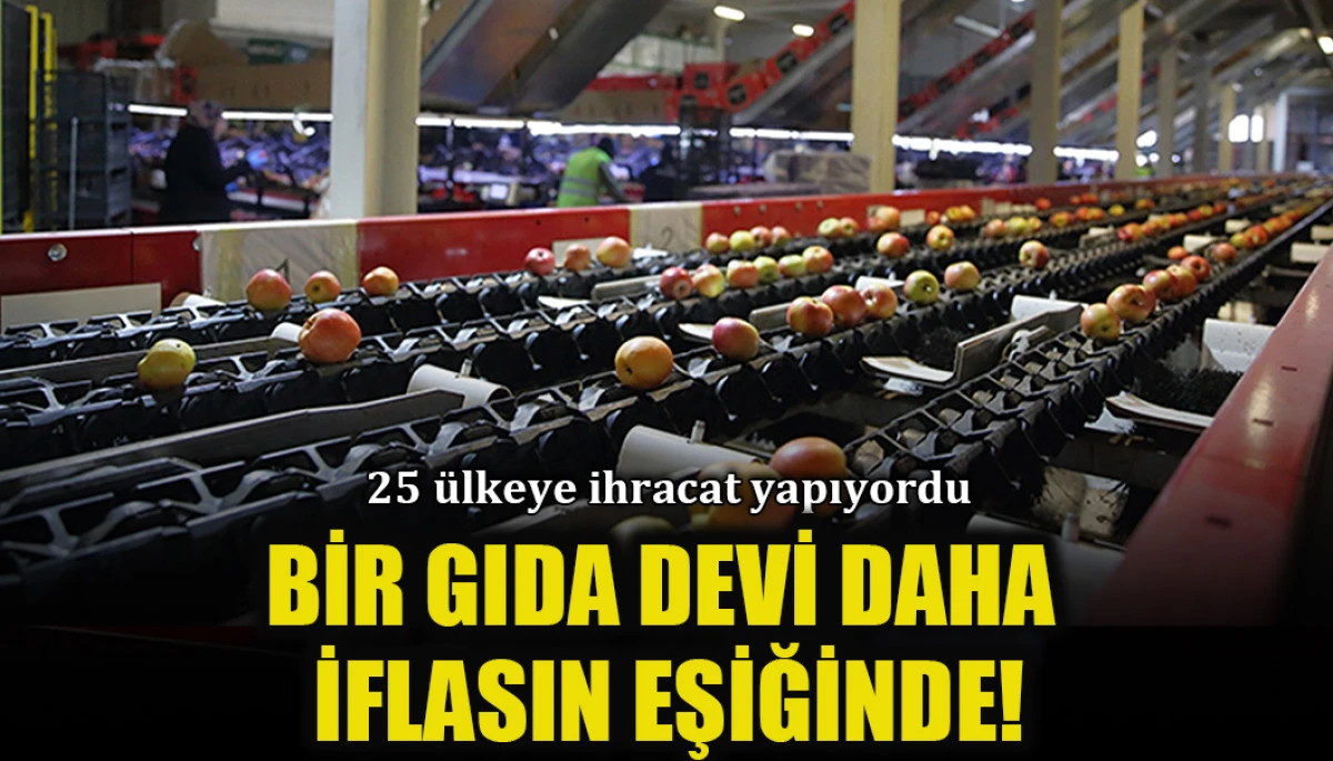 Dünyaya meyve ihraç eden Saraylım Tarım, finansal darboğaz nedeniyle koruma istedi