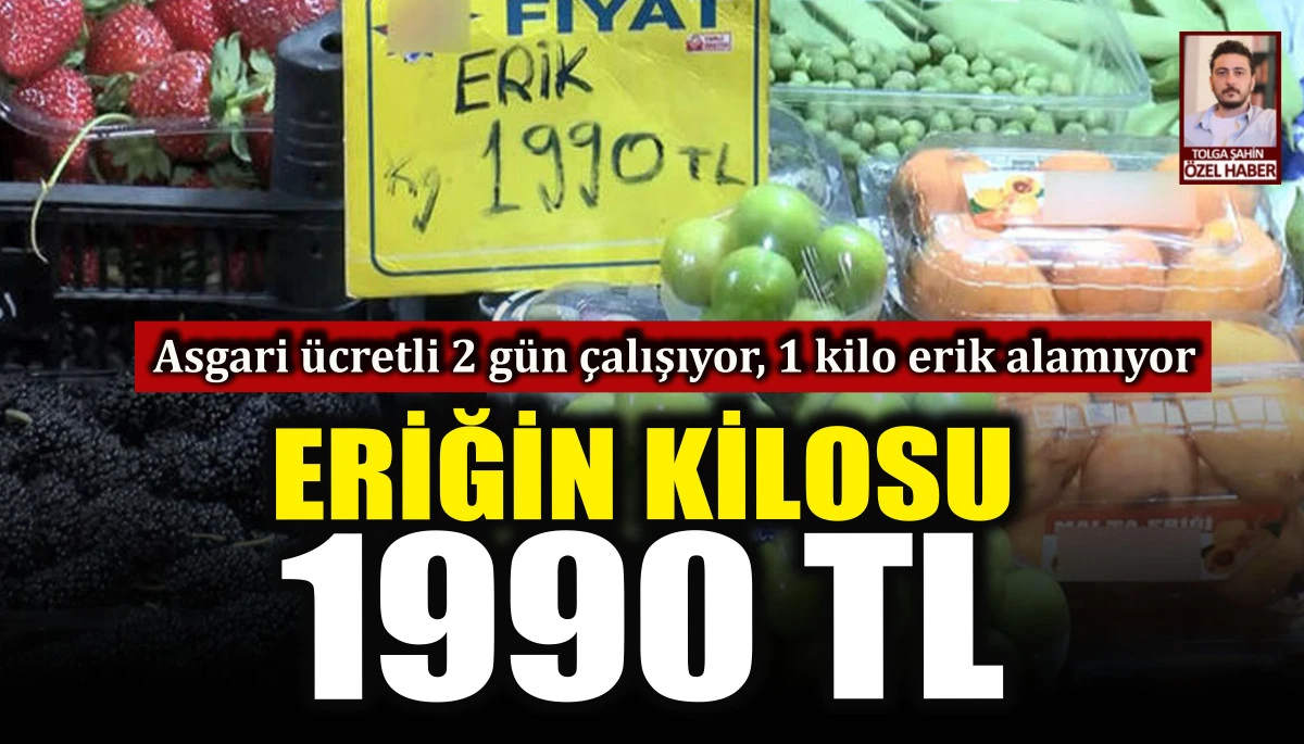 Eriğin kilosu 1990 TL. Asgari &uuml;cretli 2 g&uuml;n &ccedil;alışıyor, 1 kilo erik alamıyor