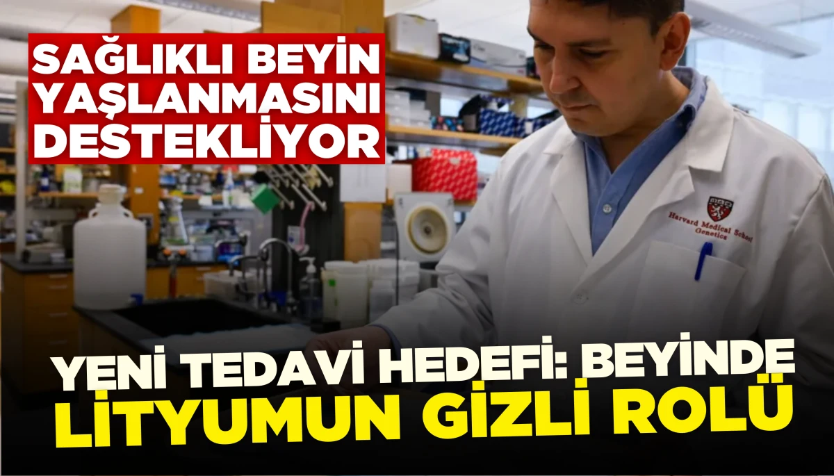 Harvard’dan Çığır Açan Buluş: Lityum Alzheimer’a Karşı Kalkan Olabilir
