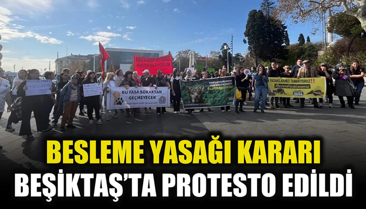 Hayvan hakları savunucuları besleme yasaklarını protesto etti