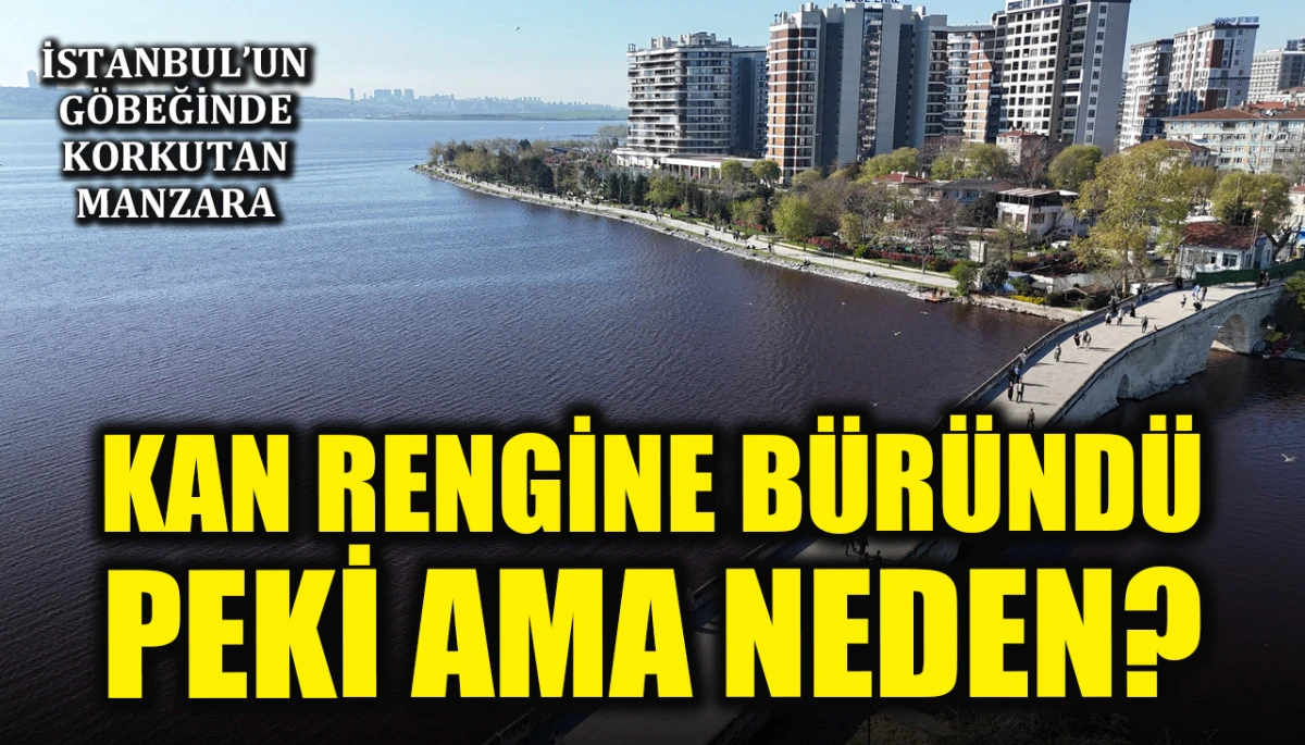 İstanbul'un g&ouml;beğinde korkutan manzara! K&uuml;&ccedil;&uuml;k&ccedil;ekmece G&ouml;l&uuml; kan rengine b&uuml;r&uuml;nd&uuml;: Peki ama neden?