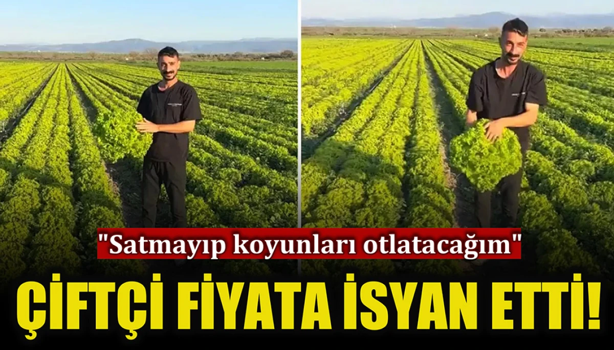İzmirli çiftçi isyan etti: Satarsam şerefsizim, koyunları otlatacağım