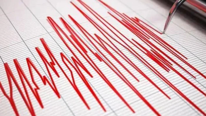 Japonya 7.4 ile sallandı 