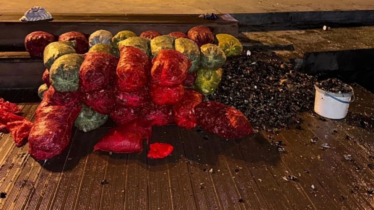İstanbul Sarıyer'de 1 Ton Kaçak Midye Ele Geçirildi