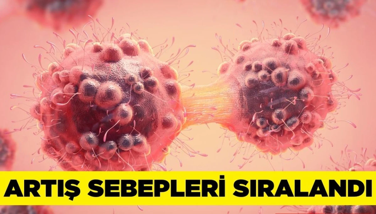  Kanserde 2050’ye kadar ölümlü vaka sayısı yüzde 77 artacak