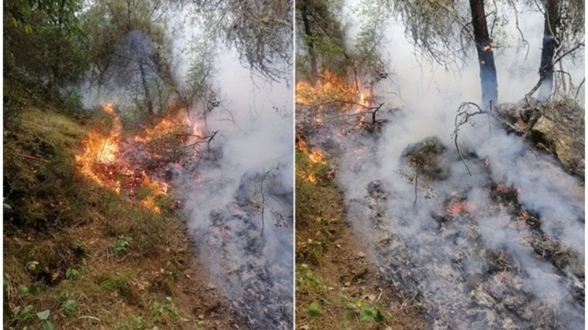 Karabük’te Orman Yangını: Ekipler Havadan ve Karadan Müdahale Ediyor