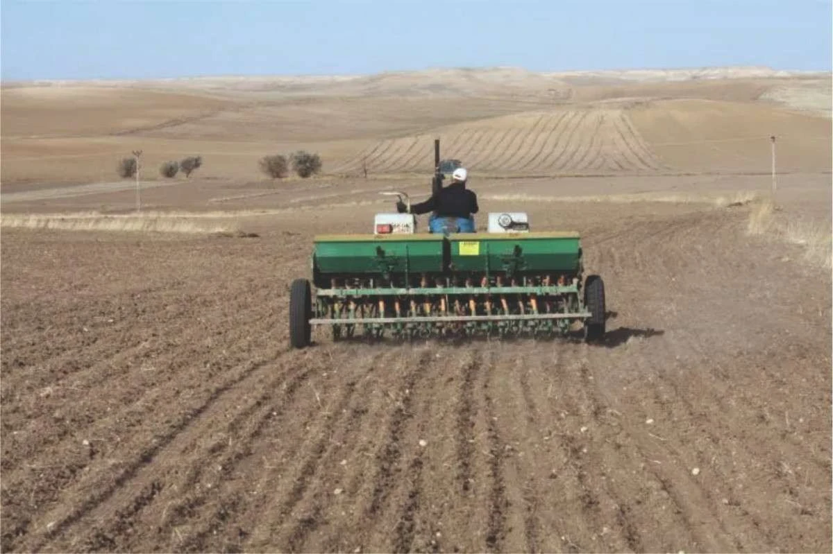 Kozan'da buğday ekimi başladı