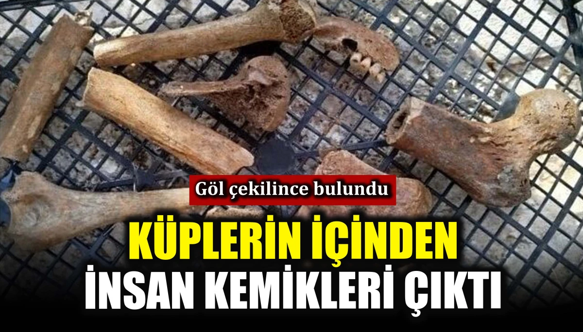 K&uuml;plerin i&ccedil;inden insan kemikleri &ccedil;ıktı