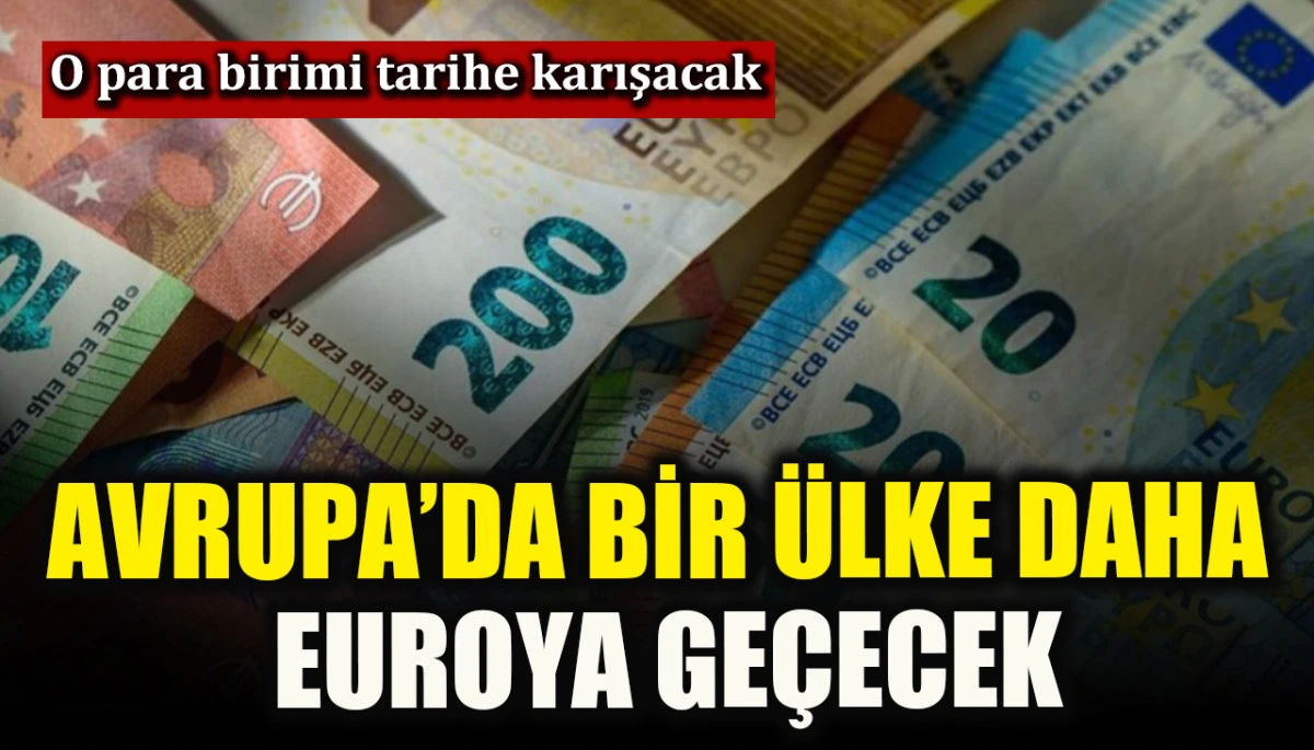 Macaristan euroya ge&ccedil;meye hazırlanıyor