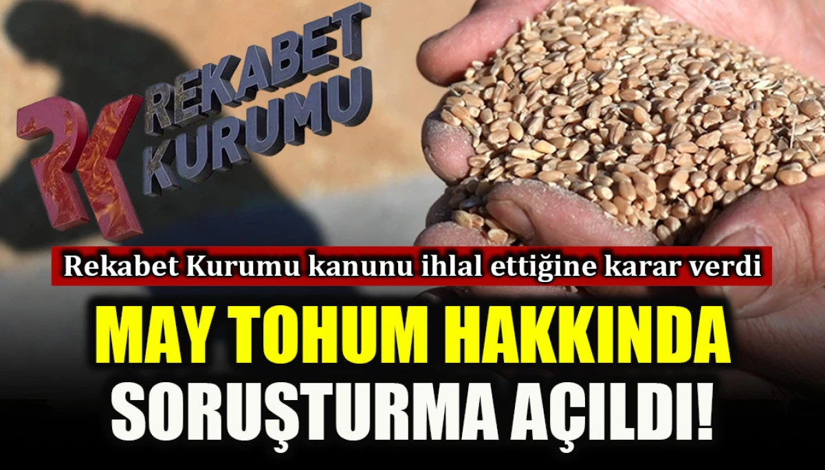 May Tohum hakkında soruşturma a&ccedil;ıldı!