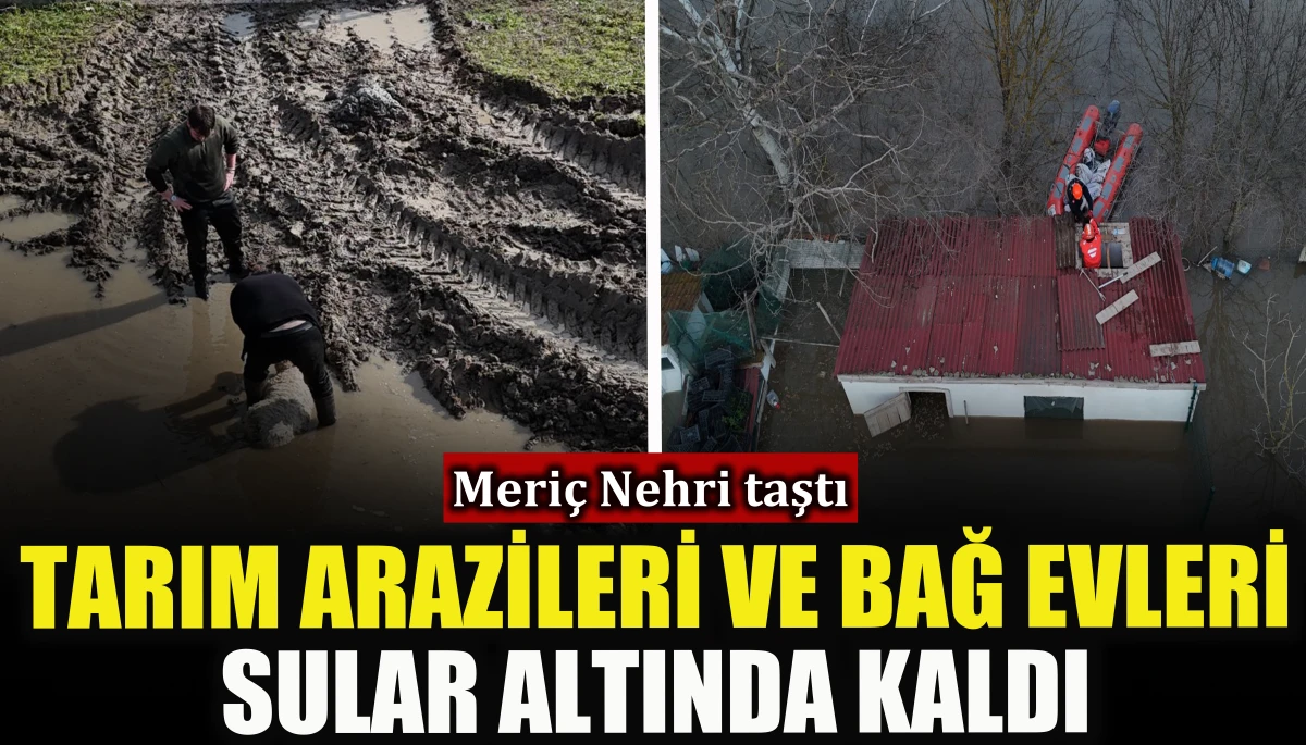 Meri&ccedil; Nehri taştı, tarım arazileri ve bağ evleri sular altında kaldı