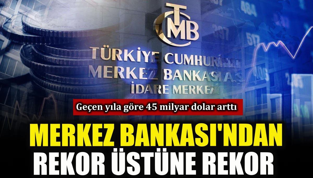Merkez Bankası'ndan rekor &uuml;st&uuml;ne rekor    