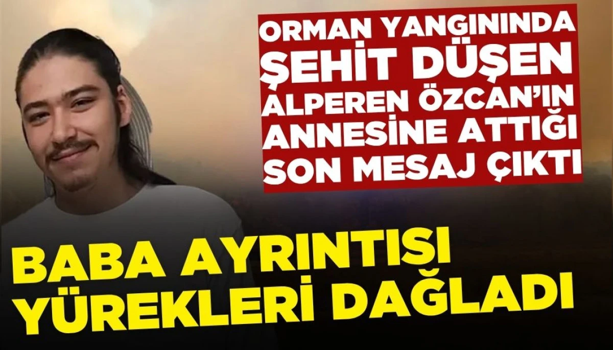 Orman Yangınında Şehit Olan Alperen'in Son Mesajı Ortaya Çıktı