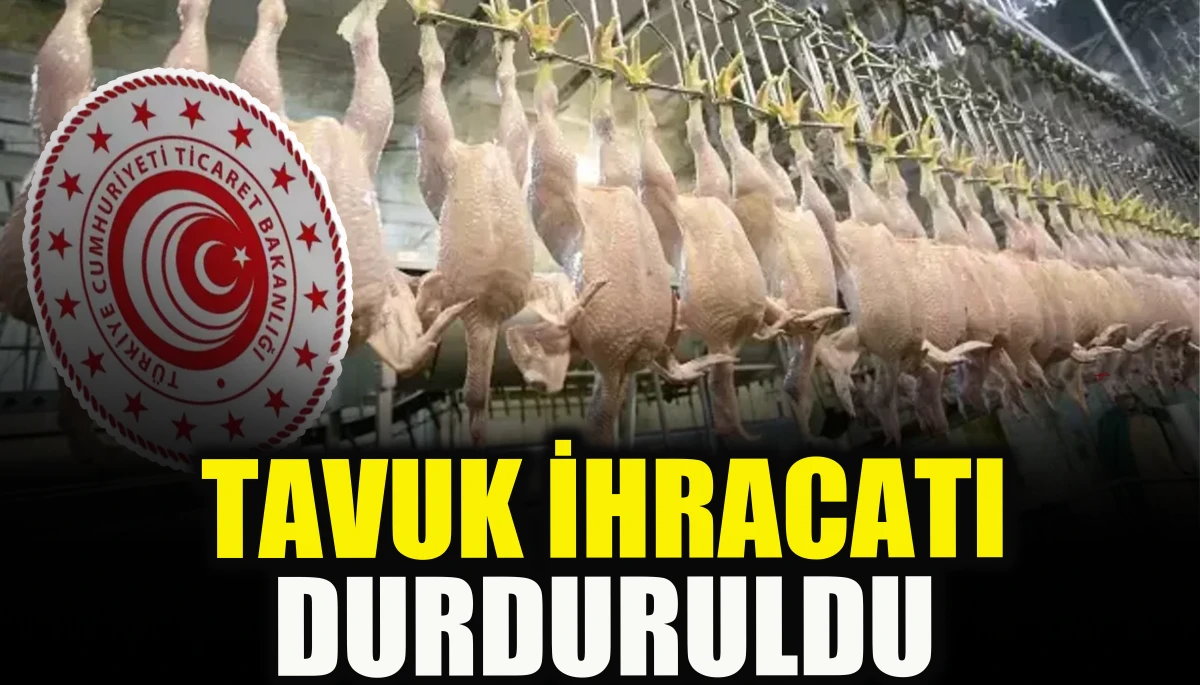 Tavuk ihracatı durduruldu                