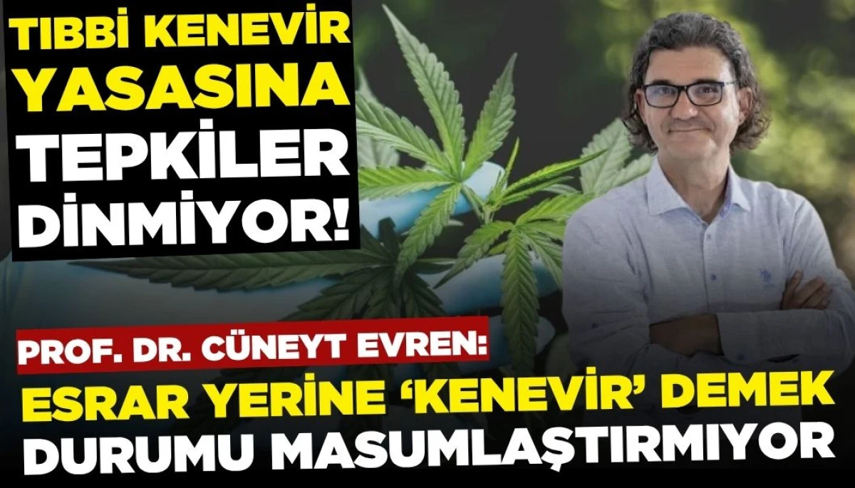 Uzmanlardan Yeni Yasaya Tepki: Esrar Yerine Kenevir Demek Masumlaştırmıyor