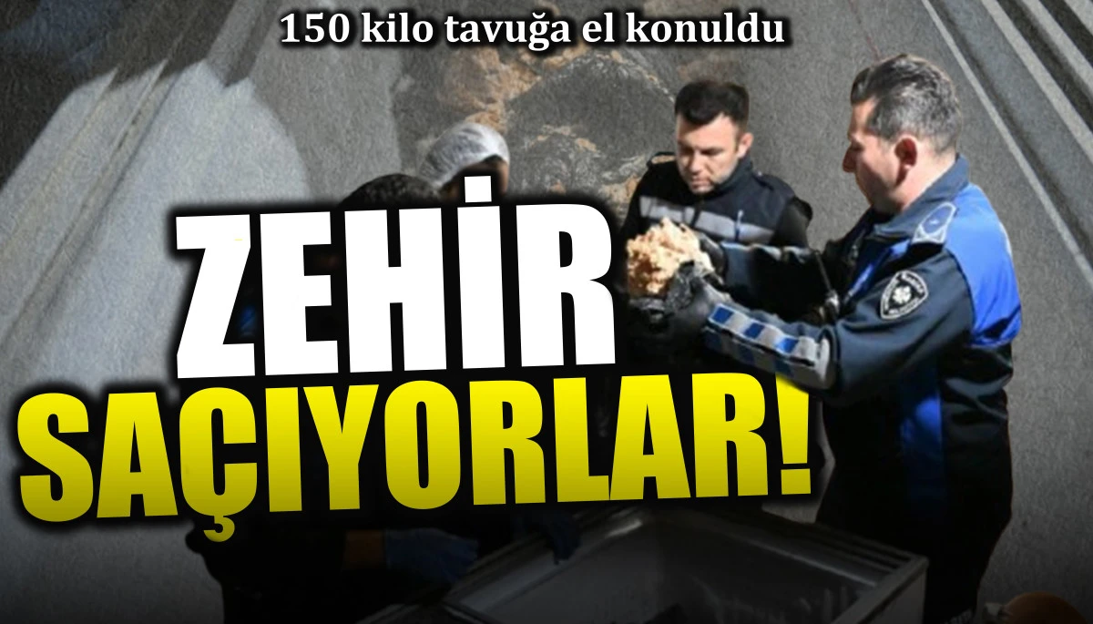 Zehir saçıyorlar! 150 kilo tavuğa el konuldu